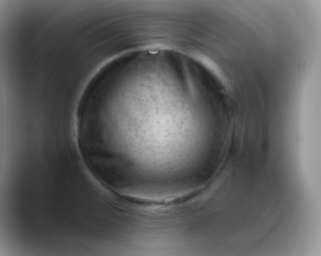 X0000089711476200707051653