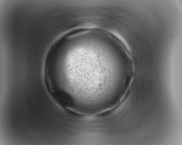 X0000089711477200707051653