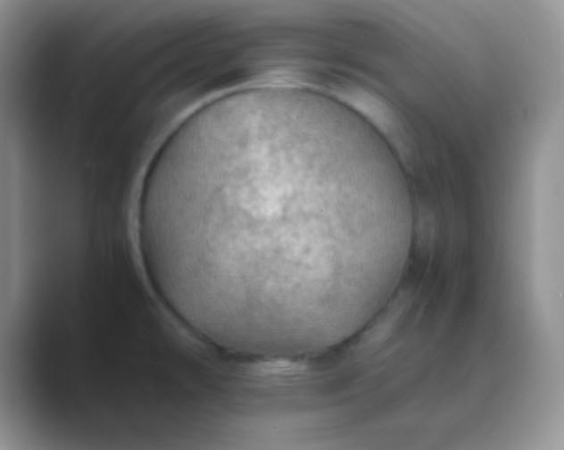 X0000089711478200707051652