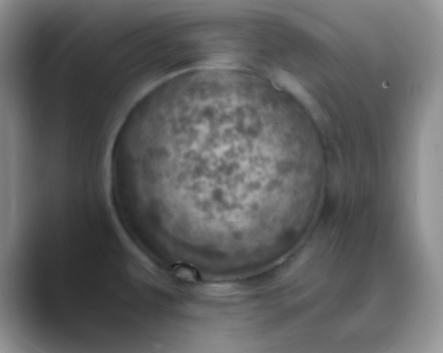 X0000089711479200707051652