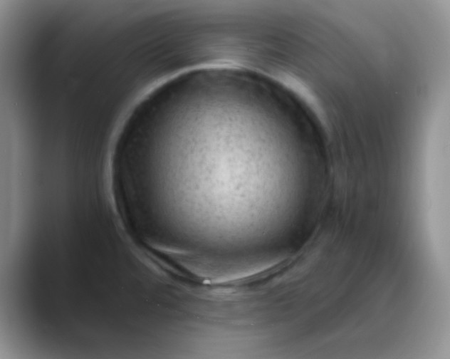 X0000089711480200707051652