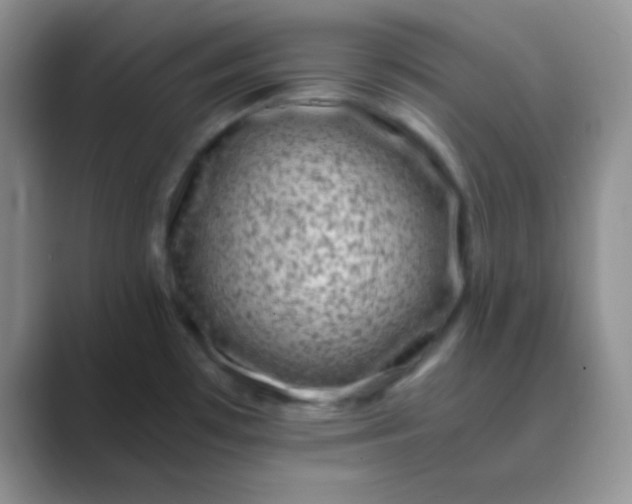 X0000089711481200707051652