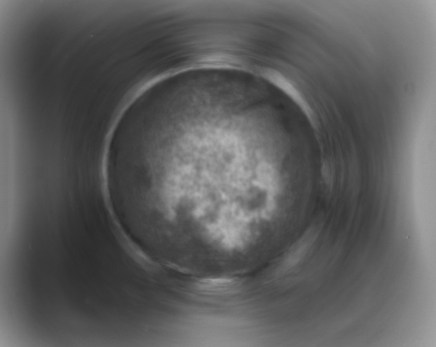 X0000089711482200707051652