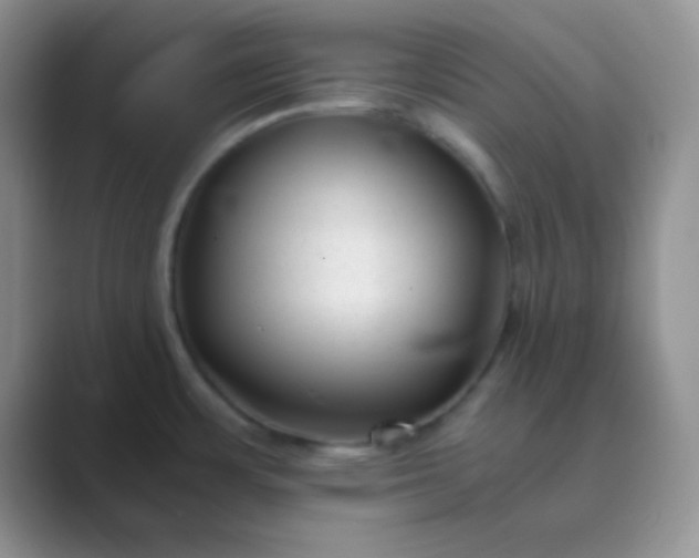 X0000089711483200707051652