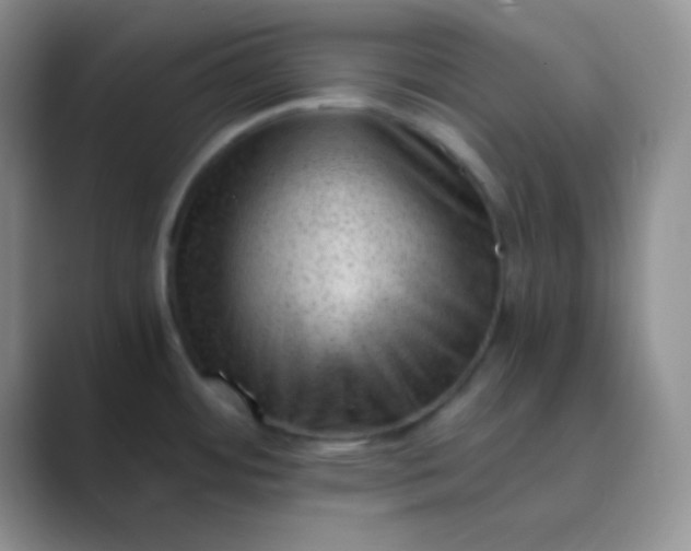 X0000089711484200707051652