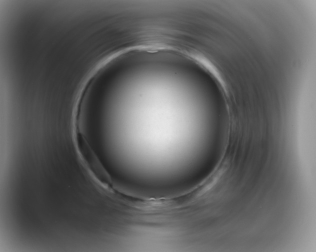 X0000089711485200707051652