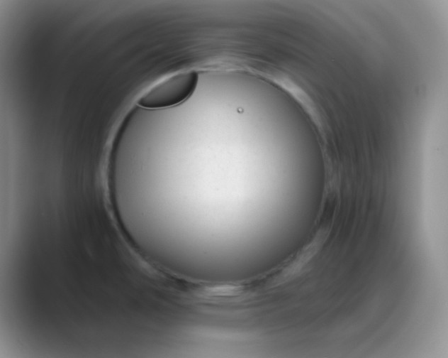 X0000089711486200707051652