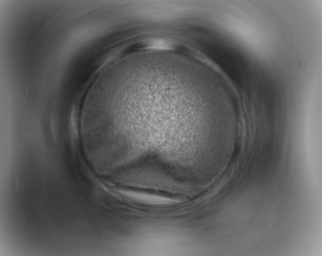 X0000089711487200707051652