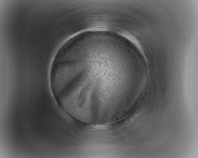 X0000089711488200707051652