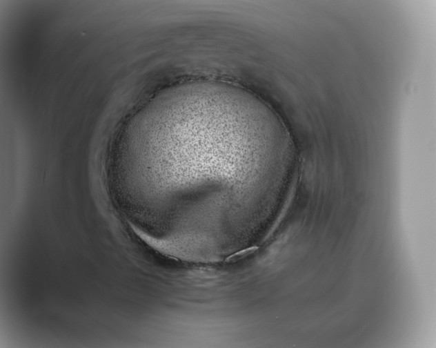 X0000089711489200707051652