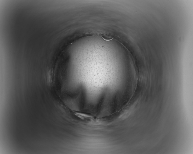 X0000089711490200707051652