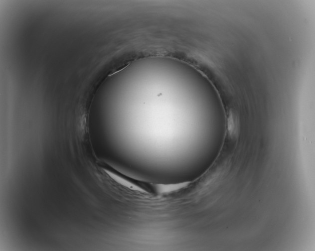 X0000089711492200707051652