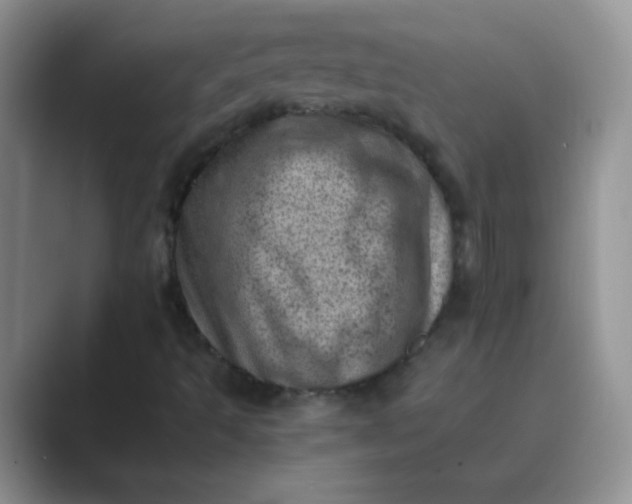 X0000089711493200707051652