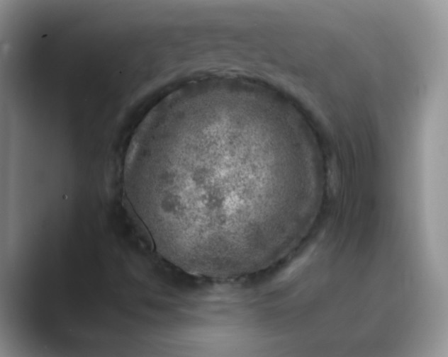 X0000089711494200707051652