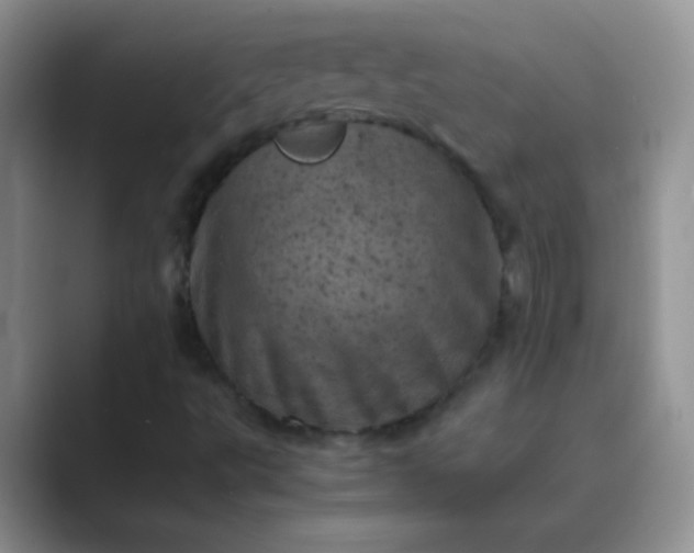 X0000089711495200707051652