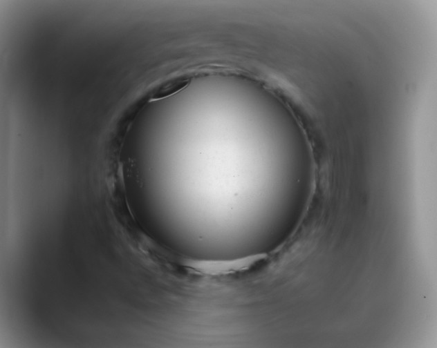 X0000089711496200707051652