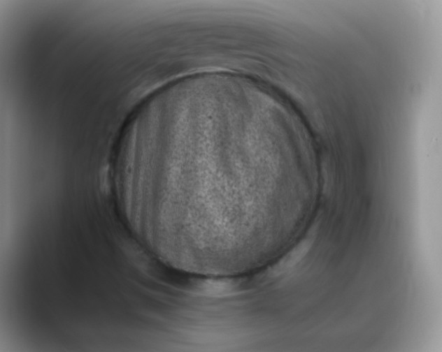 X0000089711497200707051652