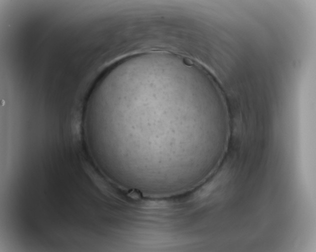 X0000089711499200707051652