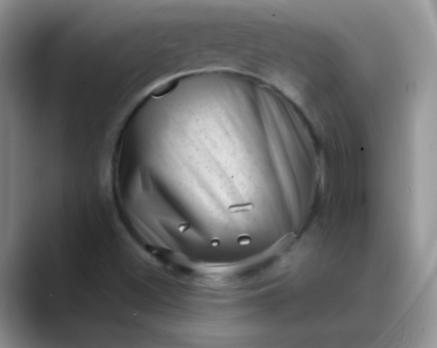 X0000089711500200707051652