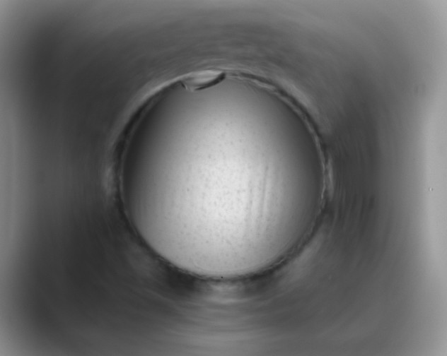 X0000089711501200707051652