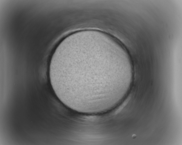 X0000089711502200707051652