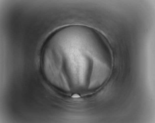 X0000089711503200707051652