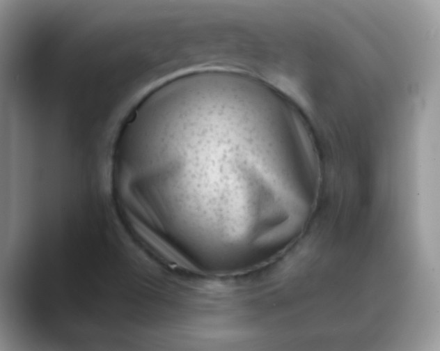 X0000089711504200707051652