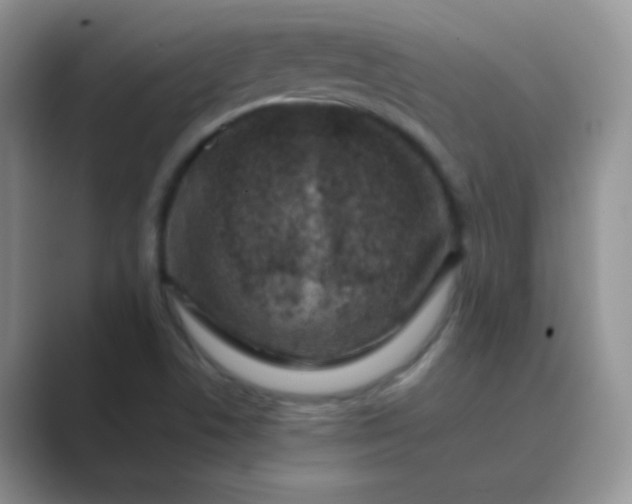 X0000089711506200707051652