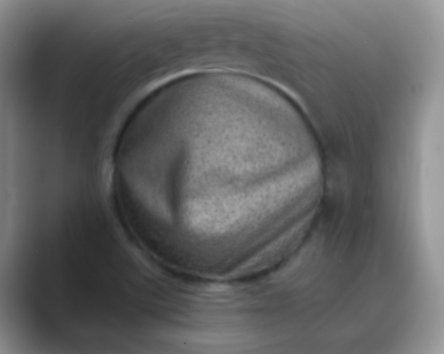 X0000089711507200707051652