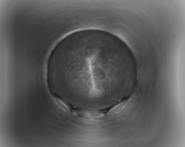 X0000089711508200707051652