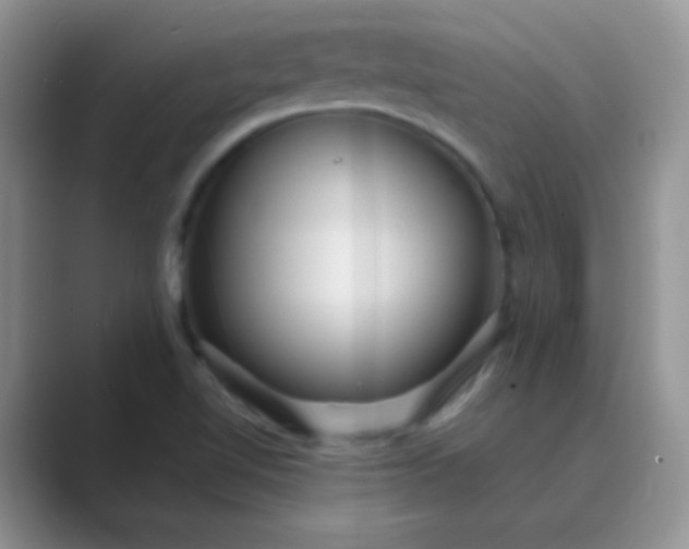 X0000089711510200707051652