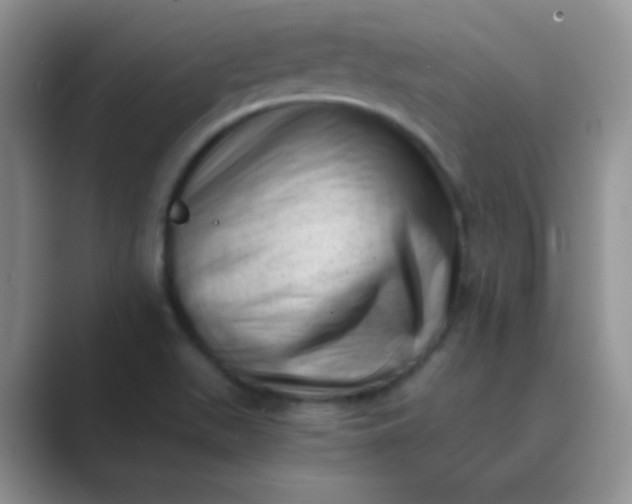 X0000089711511200707051652