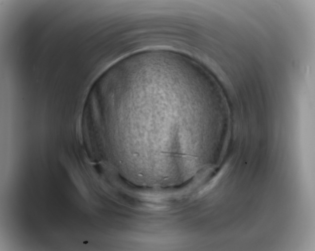 X0000089711513200707051652