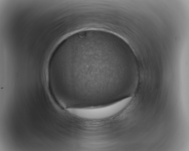 X0000089711515200707051652