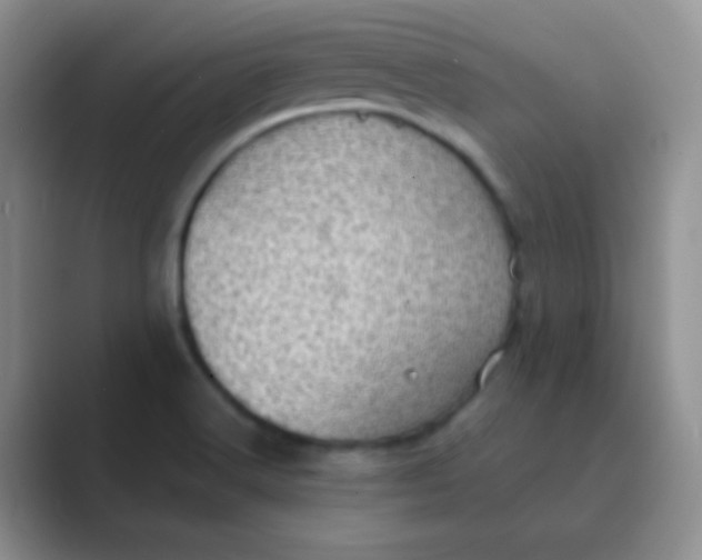 X0000089711516200707051652