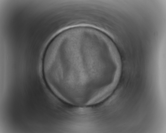 X0000089711518200707051652