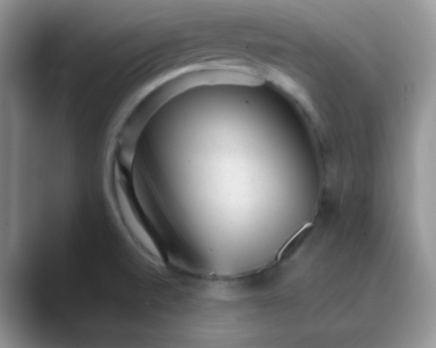 X0000089711520200707051652