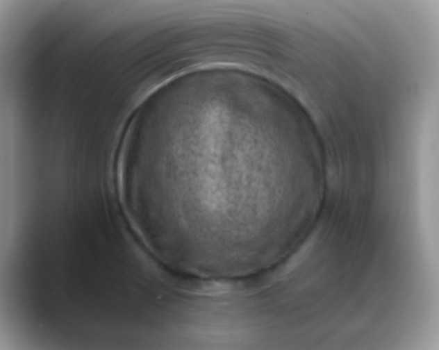 X0000089711521200707051652