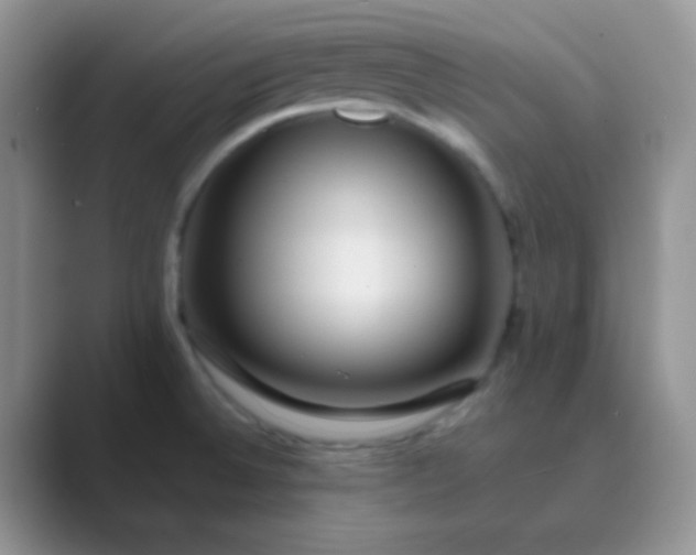 X0000089711524200707051652