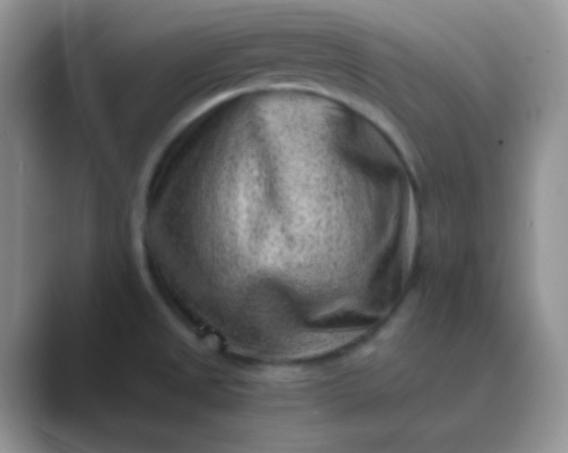 X0000089711525200707051652