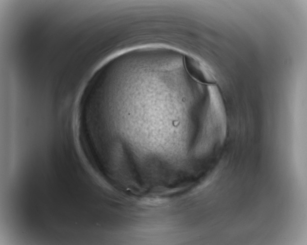 X0000089711526200707051652