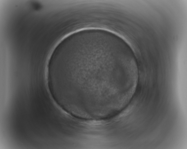 X0000089711527200707051652