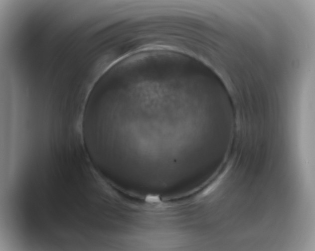 X0000089711529200707051652