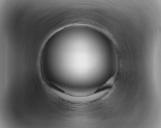 X0000089711530200707051652