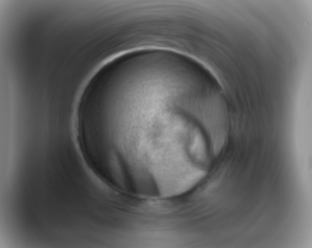 X0000089711531200707051652