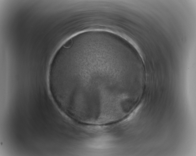 X0000089711533200707051652