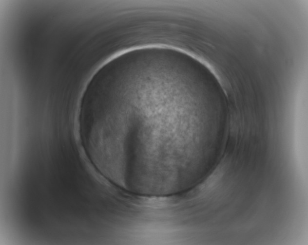 X0000089711534200707051652