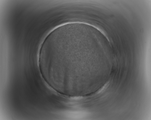 X0000089711535200707051652