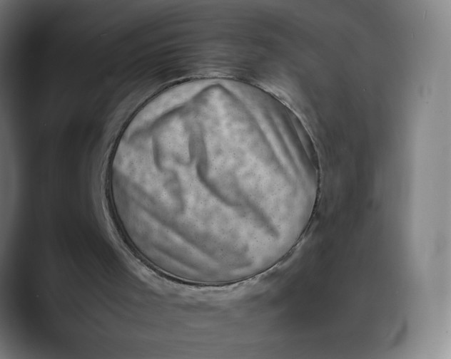 X0000089710001200707121421