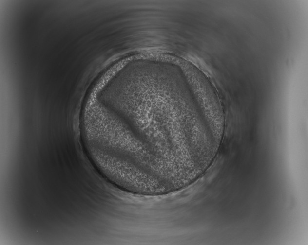 X0000089710002200707121421